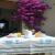 A Balduina B&B in Rome Italy