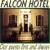 Falcon Hotel